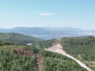 Etimesgut Peyzaj